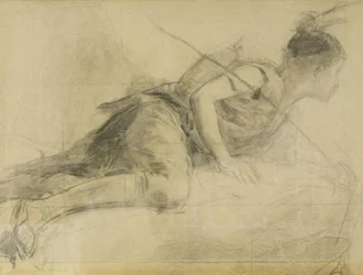 Study of a Pile Dweller